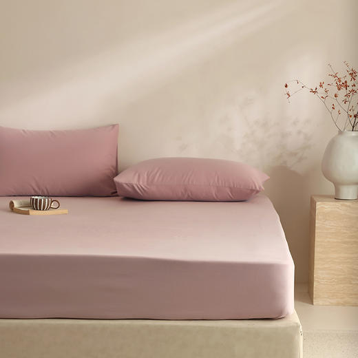 【100支全棉单品磨毛床笠】100支全棉单品磨毛床笠纯色中厚长绒棉床罩秋冬保暖 商品图1