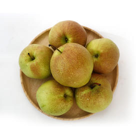山西隰县玉露香梨9个礼盒装2.5kg