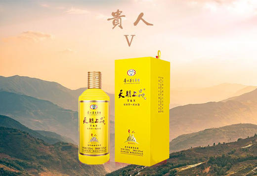 2021年天朝上品贵人V  53度柔和酱香型白酒 整箱500ml*6瓶包邮 商品图2