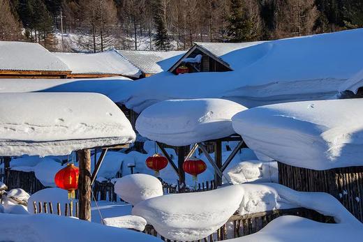 东北“冰雪王国”丨雪乡童话世界、梦幻雾凇岛、“雪域仙境”四方顶子、镜泊湖冰瀑、小众铁路小镇、东北虎雪地捕食、哈尔滨冰雪大世界8天纯玩团 商品图10