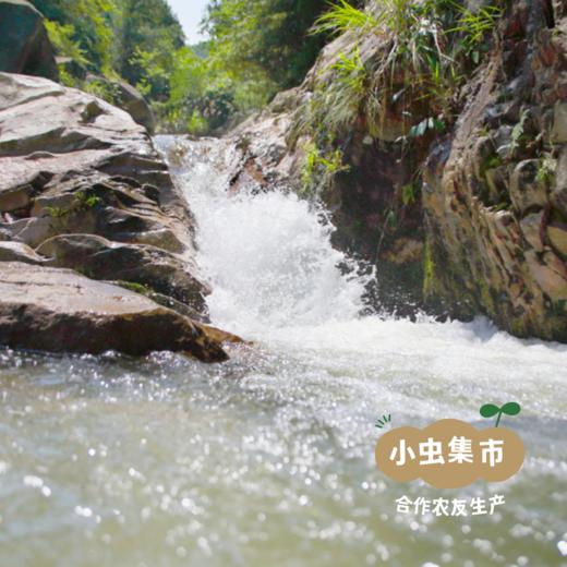 房县生态黄酒 100ml/500ml | 合作农友生产，产自湖北房县，生产者：李明攀 *【公平贸易农人定价】 商品图10