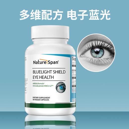 眼睛视力营养配方电子屏幕蓝光盾 软胶囊90粒  NATURESPAN倍能适 商品图0