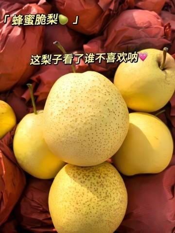 顺丰包邮一年一季蜂蜜脆梨，黄土高原农产，不打腊，有机肥灌溉自然熟不催熟基地直邮 商品图1