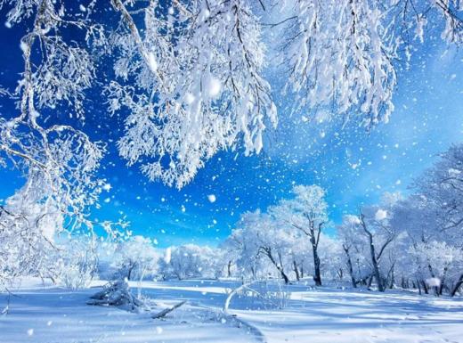 东北“冰雪王国”丨雪乡童话世界、梦幻雾凇岛、“雪域仙境”四方顶子、镜泊湖冰瀑、小众铁路小镇、东北虎雪地捕食、哈尔滨冰雪大世界8天纯玩团 商品图14