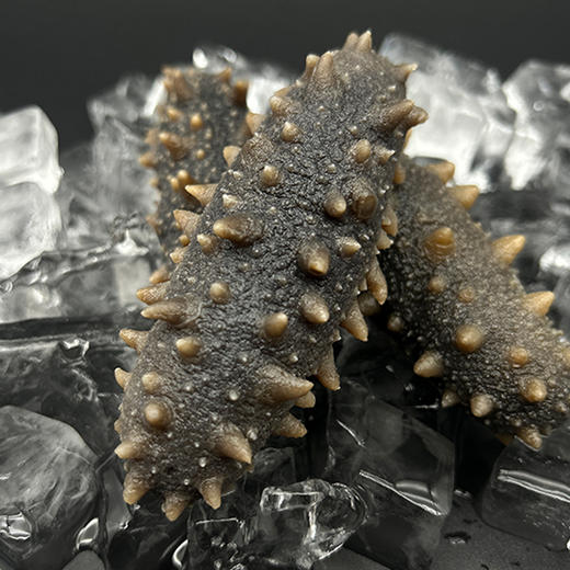 辽福湾鲜食即食海参6头/斤[1斤/3斤/5斤任选] 商品图5