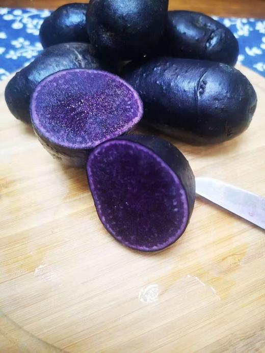 色达紫色土豆  花青素超高 包邮 商品图3