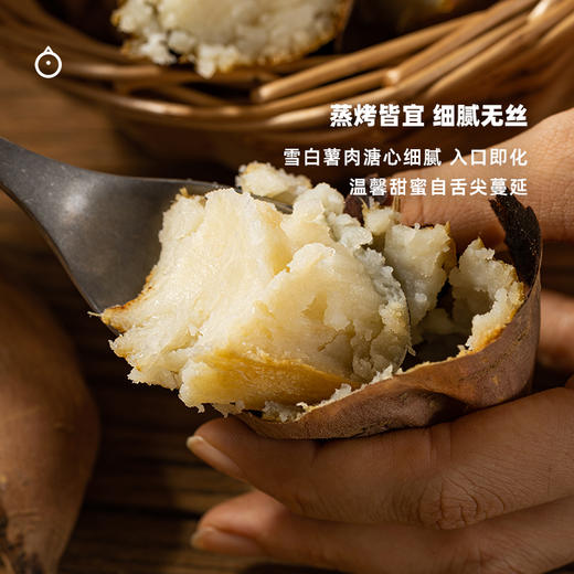 企鹅市集|内蒙古 哈密冰糖薯大果5斤装（11-15根） 软糯绵密 冰糖蜜甜 商品图2