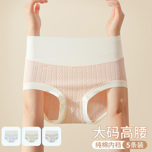 【5条独立装】迪蕉女士纯棉内裤 高腰冷感提花 5A抗JUN  亲肤裸感 全包臀 全棉底裆 商品图7