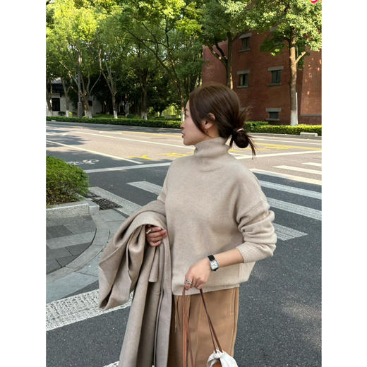 2411214    max高领 100%羊绒衫 商品图3