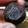 云南高黎贡山黑松露（250g/500g装） 商品缩略图1