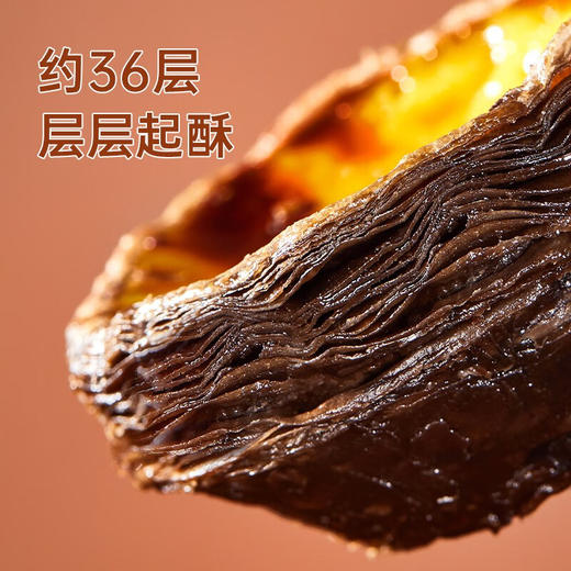展艺可可蛋挞皮480g(H) 商品图5