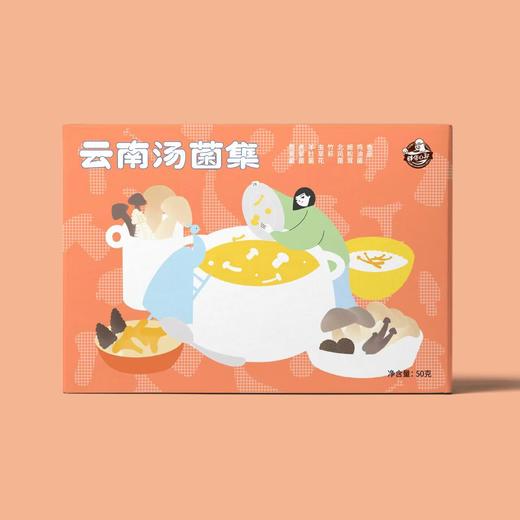 云南菌汤集 虎掌菌+姬松茸+鹿茸菇+北风菌+鸡油菌+羊肚菌+竹荪+虫草花 商品图8