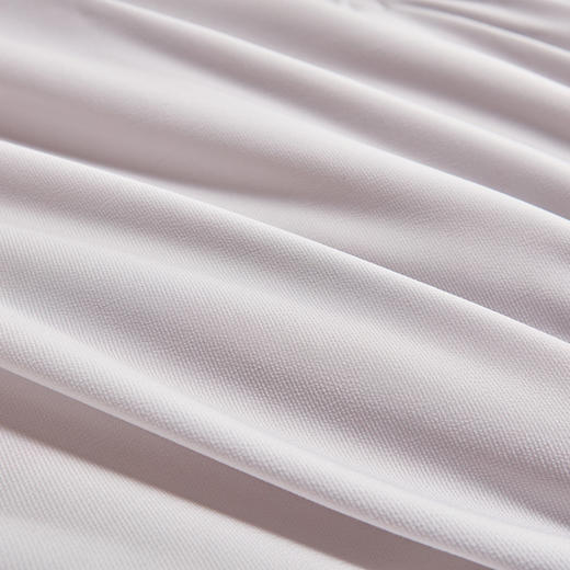 【维科家纺】全棉提花冬被春秋被加厚秋冬被保暖温馨纤维被子冬季被 商品图4