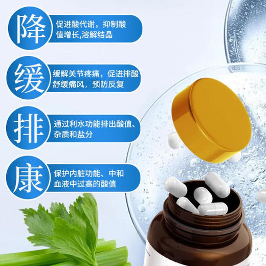 【进博会特邀】DR.TUCKER 塔克瑞博士 原装进口 尿酸高 痛风片60粒 痛风片60粒 商品图3