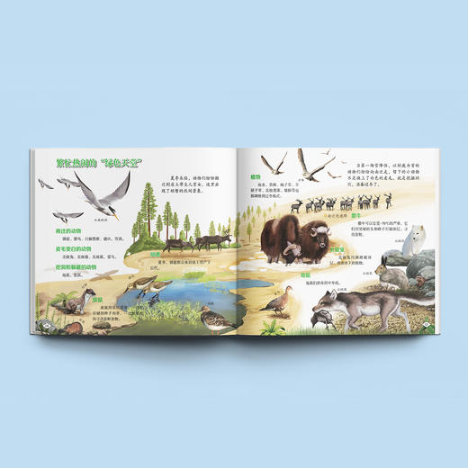 《画给孩子的自然通识课》(全15册) 商品图2