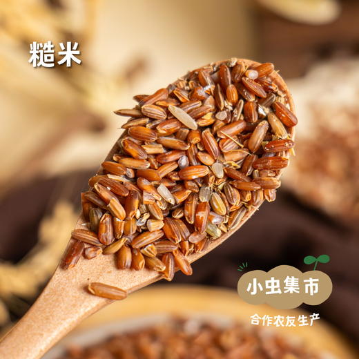 生态老品种红籼米 5斤（红米）| 合作农友生产，产自贵州贵阳高坡，生产者：杨婧懿 *【公平贸易农人定价】 商品图1