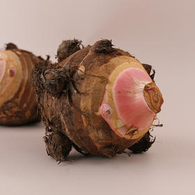 宁波奉化芋头/芋艿子 国家地理标志产品 新鲜上市