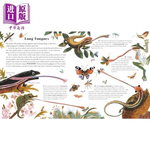 【中商原版】令人惊叹的动物进化 Awesome Animal Evolution Discover the Greatest Success Stories 英文原版 儿童科普读物 商品图3