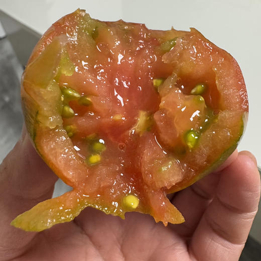 盘锦碱地西红柿 商品图1