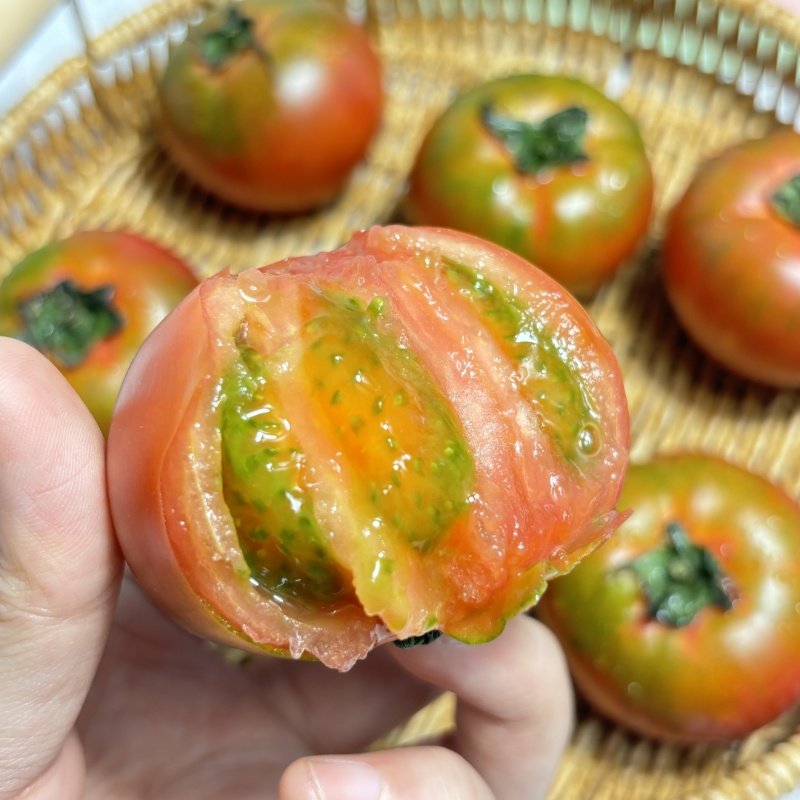 盘锦草莓西红柿【又称碱地柿子，铁皮西红柿，顺丰/京东发货】