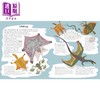 【中商原版】令人惊叹的动物进化 Awesome Animal Evolution Discover the Greatest Success Stories 英文原版 儿童科普读物 商品缩略图4