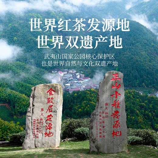 正山堂 正山小种野茶单罐礼盒装 正山小种红茶特级野生红茶茶叶送礼100g/200g 商品图6