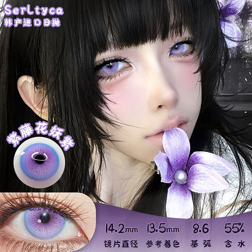 serltyca 紫藤花妖紫 日抛 6片 14.2mm 参考着色 13.5mm 基弧 8.6 含水 55% 韩国进口 商品图0