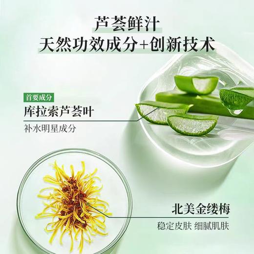 雪完美芦荟舒缓修护凝胶260g 商品图1