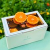 涌泉蜜桔|蜜桔🍊还得是中国无核蜜桔之乡的涌泉蜜桔😍涌泉蜜桔的名气，自然是不必多说了爆甜多汁，“懒人福音”——无核的果肉比布丁更嫩、更甜！是柑桔党心中当之无愧的「桔中仙品」～一年只有一批，季节限定！ 商品缩略图3