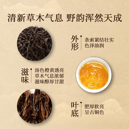 正山堂 正山小种野茶单罐礼盒装 正山小种红茶特级野生红茶茶叶送礼100g/200g 商品图3