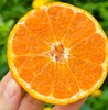涌泉蜜桔|蜜桔🍊还得是中国无核蜜桔之乡的涌泉蜜桔😍涌泉蜜桔的名气，自然是不必多说了爆甜多汁，“懒人福音”——无核的果肉比布丁更嫩、更甜！是柑桔党心中当之无愧的「桔中仙品」～一年只有一批，季节限定！ 商品缩略图2