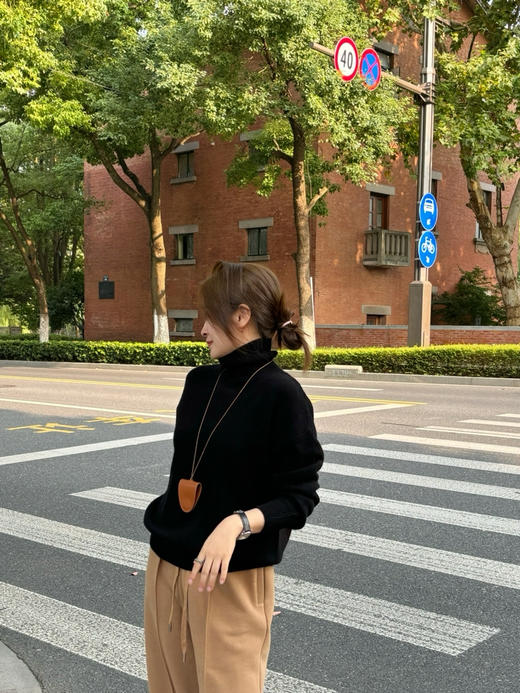 2411214    max高领 100%羊绒衫 商品图6