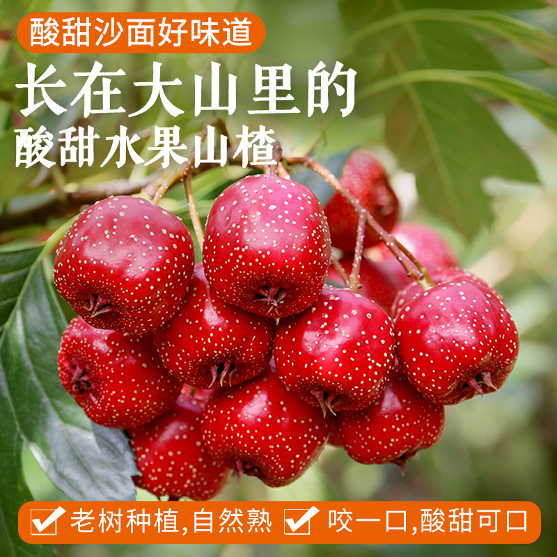 山区种植酸甜山楂  水果山楂 酸甜沙面   大小混发新鲜采摘好味道  300g