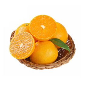 爱媛果冻橙4.5斤中16个左右