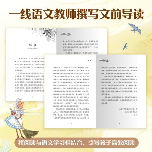 国际儿童文学经典·国际大奖系列（套装6册） 商品图2