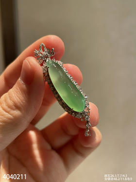 4040211，福豆吊坠。具体价格微信咨询