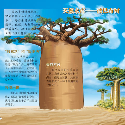 《画给孩子的自然通识课》(全15册) 商品图9