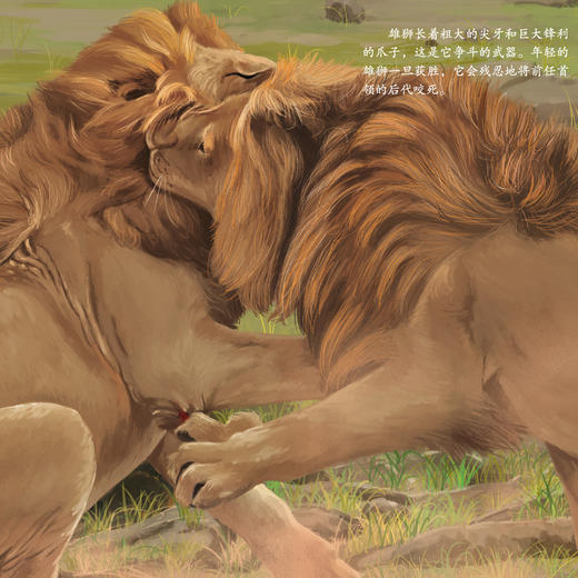 《画给孩子的自然通识课》(全15册) 商品图12