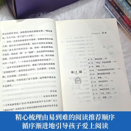 国际儿童文学经典书系-遇见虎灵（全10册） 商品图4