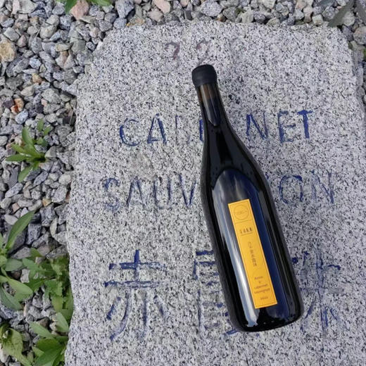 姜瑜酝酿六千里赤霞珠2022 商品图3