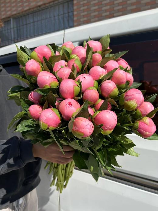 新西兰进口三文鱼蚀刻鲑鱼芍药花1支 商品图6