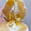 脐橙 约1000g/份 商品缩略图2