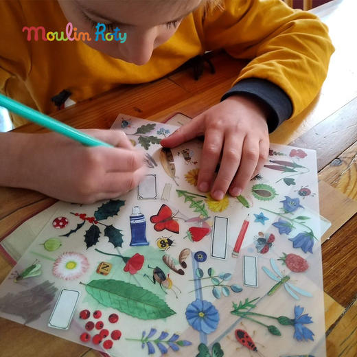 Moulin Roty 植物学家主题 转印贴 适合三岁以上 转印效果极佳 法国品牌- 712430 商品图7