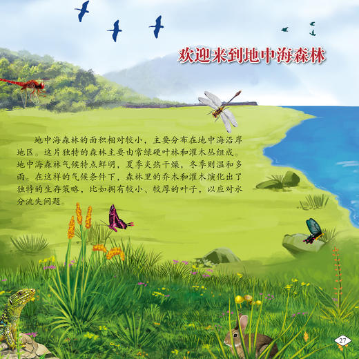 《画给孩子的自然通识课》(全15册) 商品图11