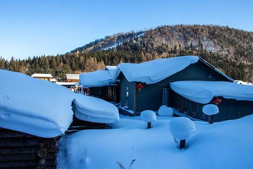 东北“冰雪王国”丨雪乡童话世界、梦幻雾凇岛、“雪域仙境”四方顶子、镜泊湖冰瀑、小众铁路小镇、东北虎雪地捕食、哈尔滨冰雪大世界8天纯玩团 商品图9