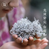张家界芽尖莓茶250一罐 商品缩略图1