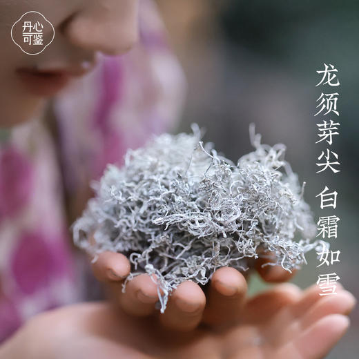 张家界芽尖莓茶250一罐 商品图1