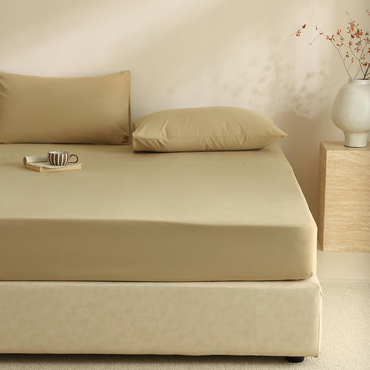 【100支全棉单品磨毛床笠】100支全棉单品磨毛床笠纯色中厚长绒棉床罩秋冬保暖 商品图7