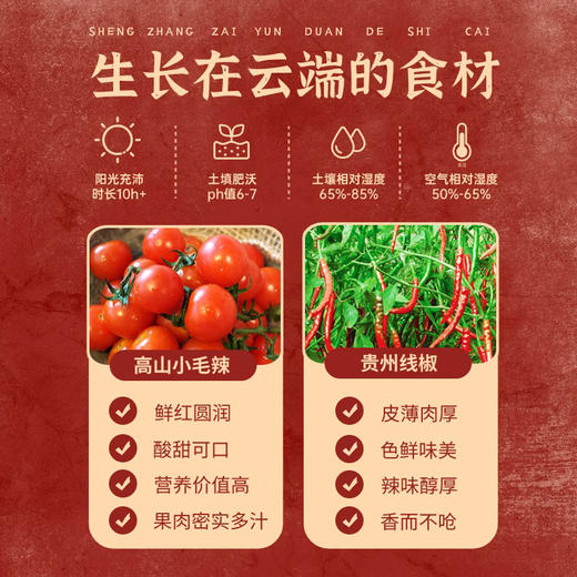 老坛西红柿酸辣汤 | 詹姆士亲调配方 原汁原味的地道酸汤  酸度适中开胃  火锅蘸酱炒菜均可 酱料 商品图2