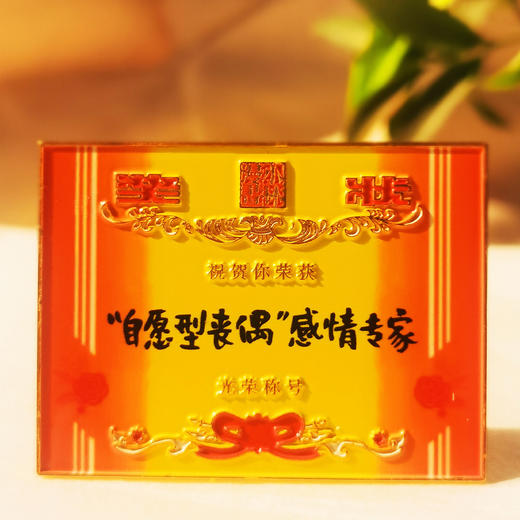 小林漫画 周边  冰箱贴 钥匙扣挂件 奖状 犒劳辛苦奋斗的我们 商品图2